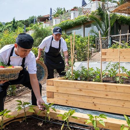 Hotel Balocco Porto Cervo Eksteriør billede